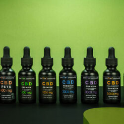 several bottles of CBD products lined up in a row